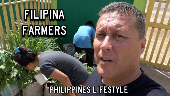 Filipinas Harvest 14 Peanuts In Grandma's Garden And Drone Deployed To Investigate Bad Smell!