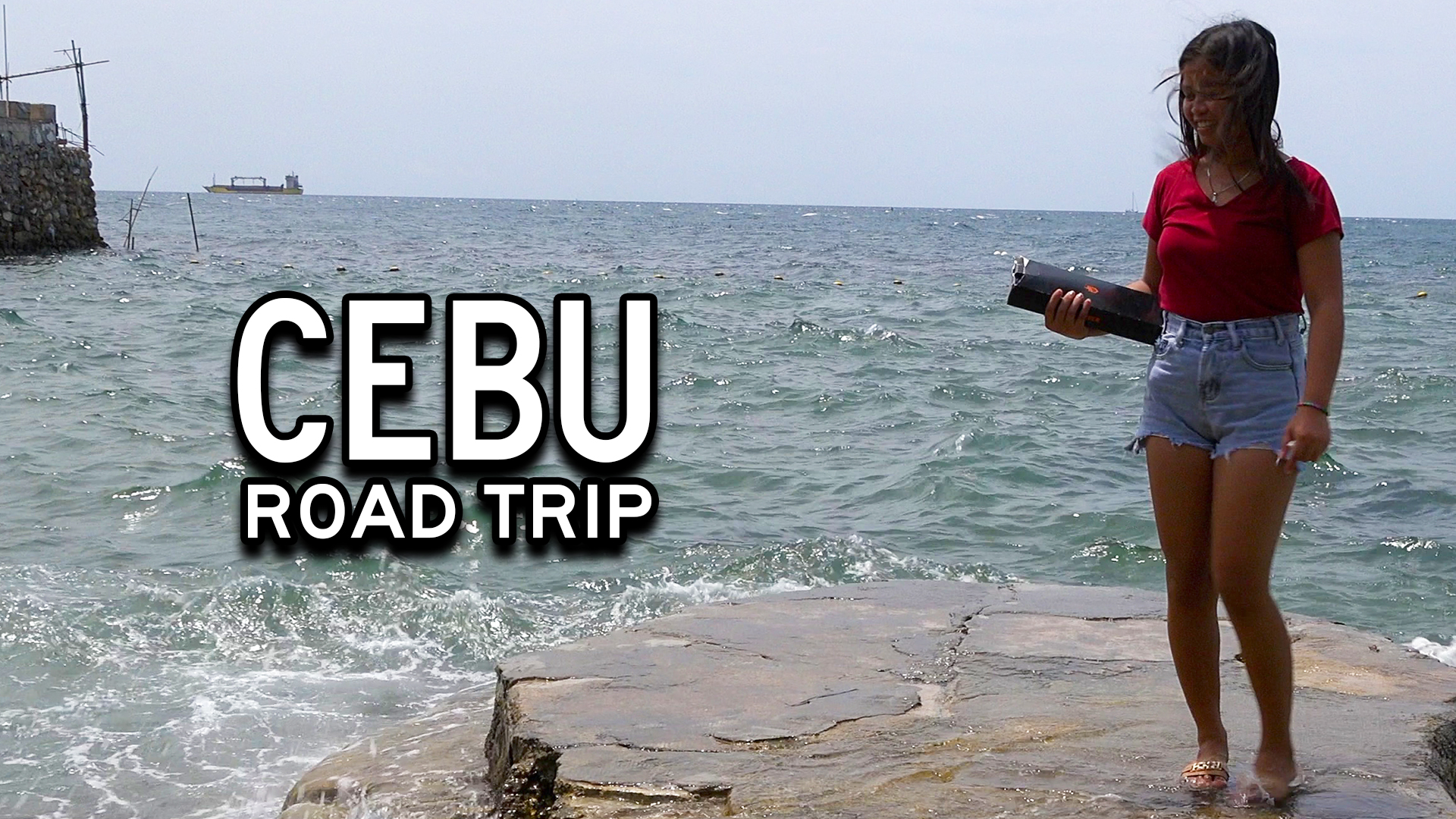 From Goats and Roosters to Beach Resorts and Tall Buildings - Cebu City Road Trip