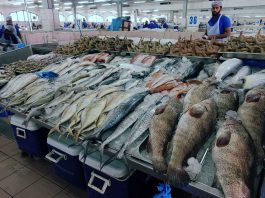 Abu Dhabi Fish Market - Al Mina - United Arab Emirates