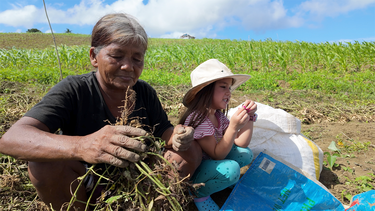 Eating Jackfruit and Picking Peanuts at Grandma's Cornfield Basecamp and Truck Patch