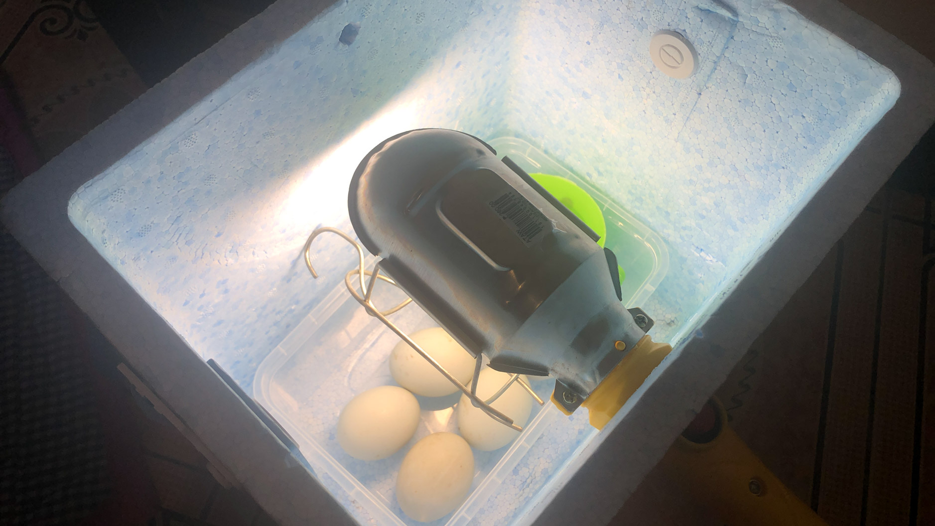 best duck incubator