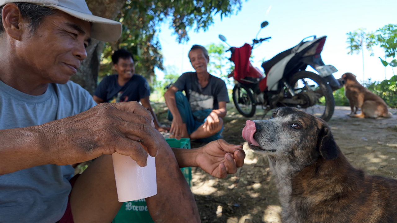 Philippines Village Family Day, Cooking Grilled Fish, Rice Roundup, and Sugar Cane Trekking